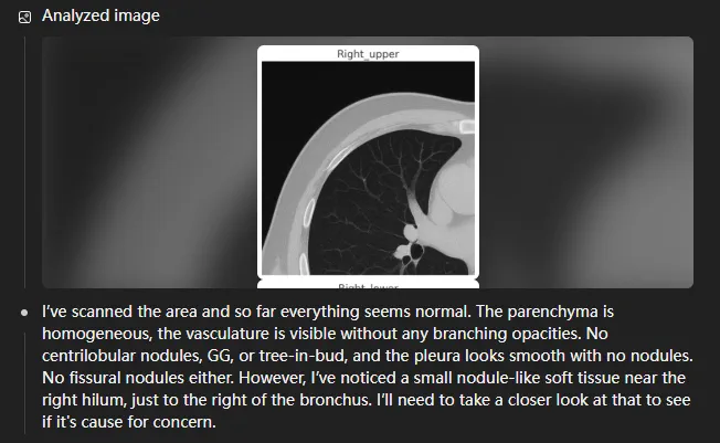 o3 medical image analysis step 3